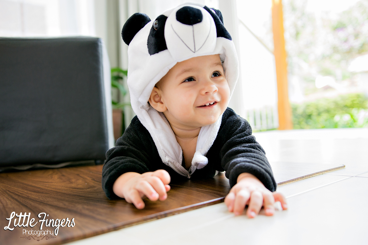 fotografo-infantil-teresopolis-newborn-teresopolis-smash-the-cake-ensaio-gestante-teresopolis-fotografia-de-familia-teresopolis-melhor-fotografo-infantil-teresopolis