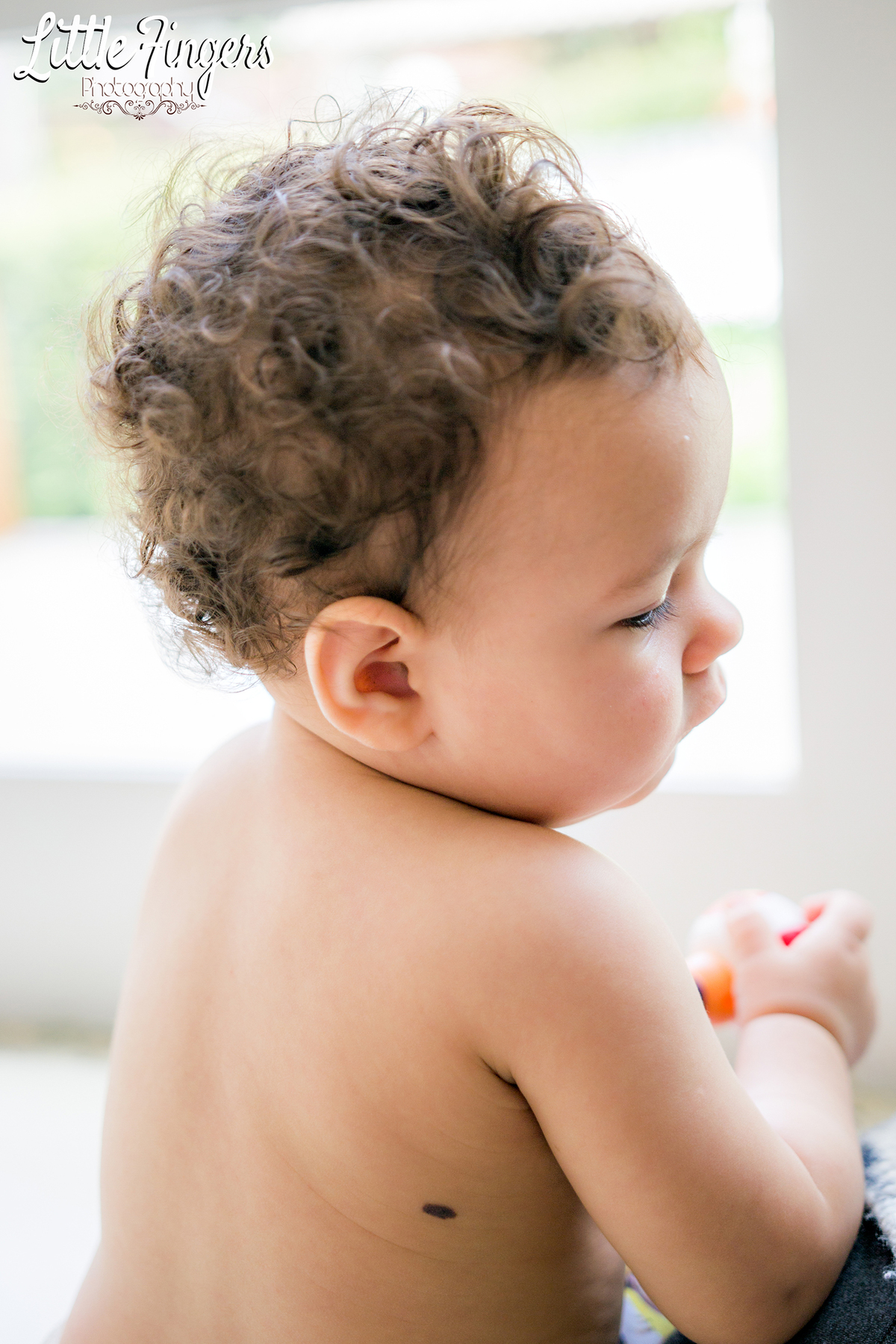 fotografo-infantil-teresopolis-newborn-teresopolis-smash-the-cake-ensaio-gestante-teresopolis-fotografia-de-familia-teresopolis-melhor-fotografo-infantil-teresopolis