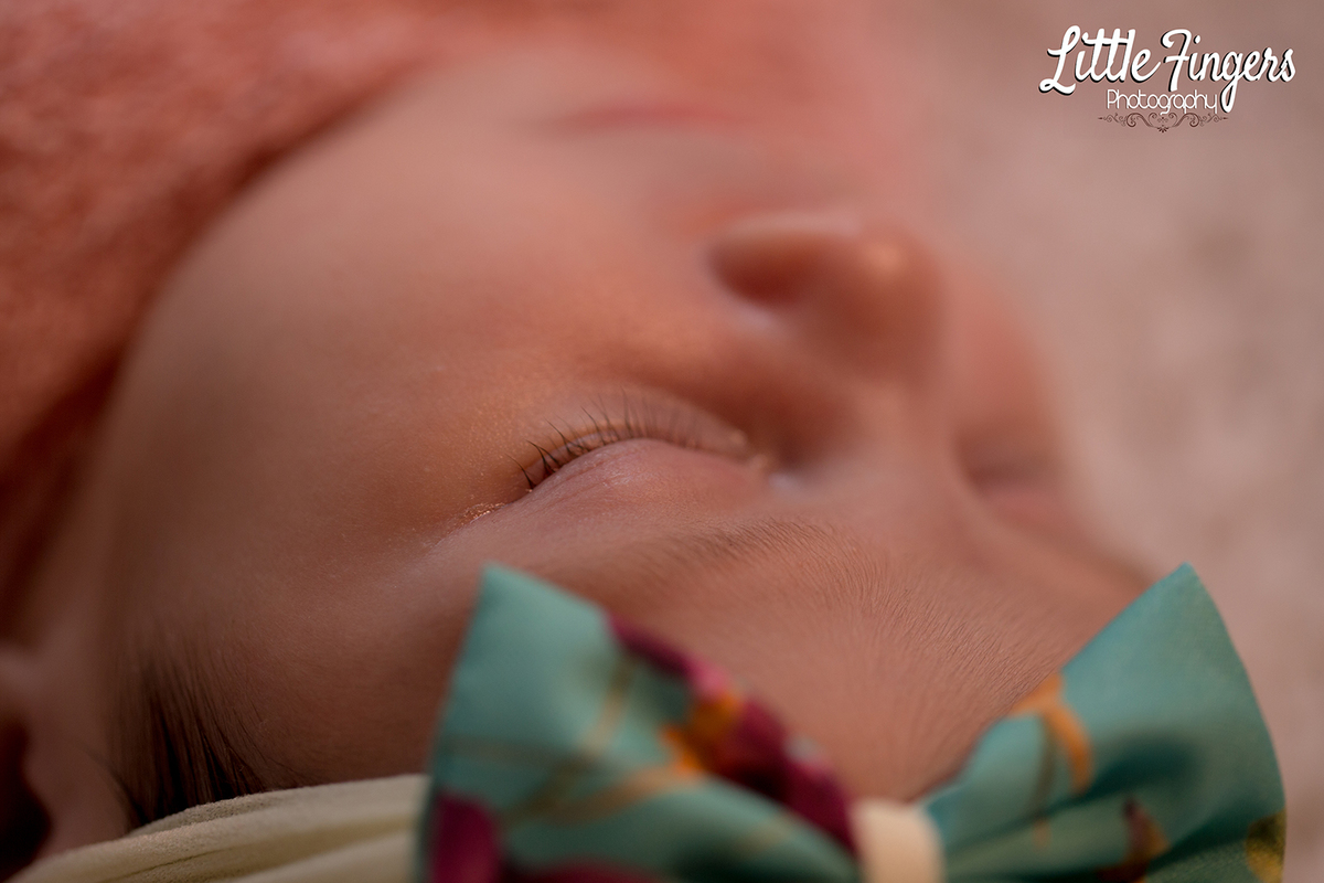 fotografo-infantil-teresopolis-newborn-teresopolis-smash-the-cake-ensaio-gestante-teresopolis-fotografia-de-familia-teresopolis-melhor-fotografo-infantil-teresopolis