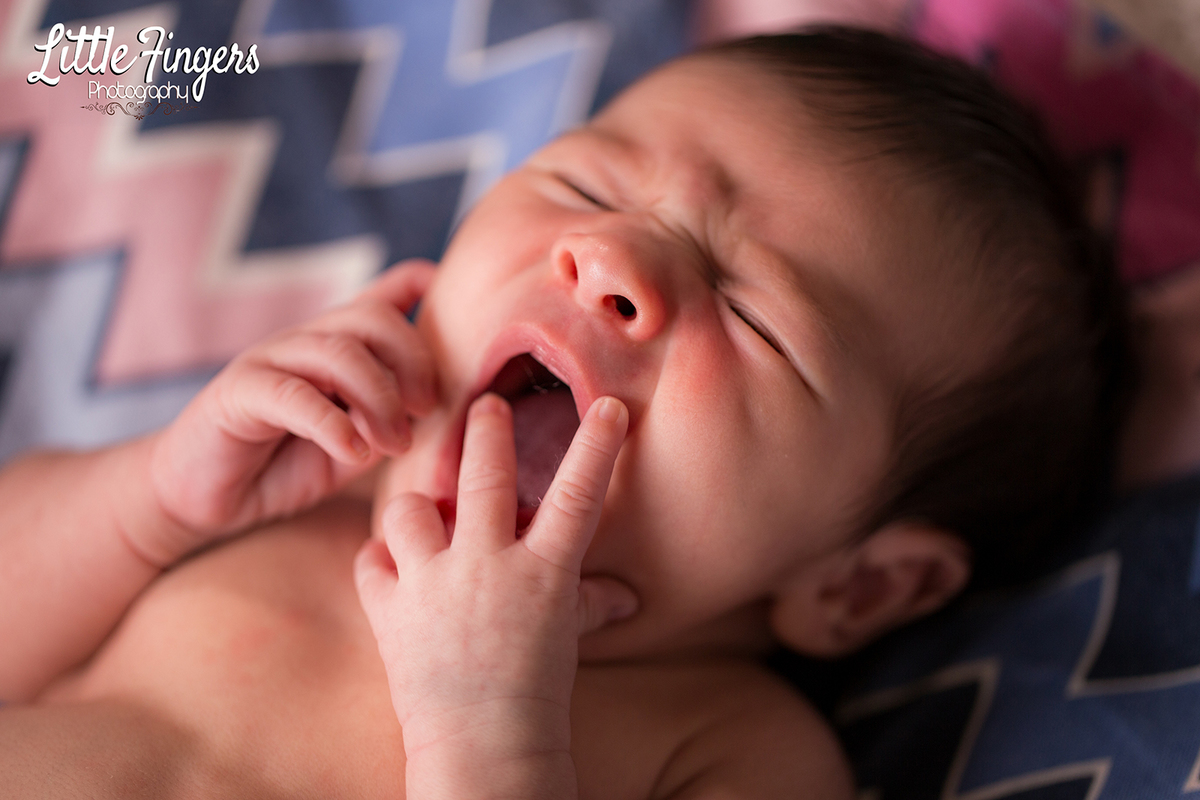 fotografo-infantil-teresopolis-newborn-teresopolis-smash-the-cake-ensaio-gestante-teresopolis-fotografia-de-familia-teresopolis-melhor-fotografo-infantil-teresopolis