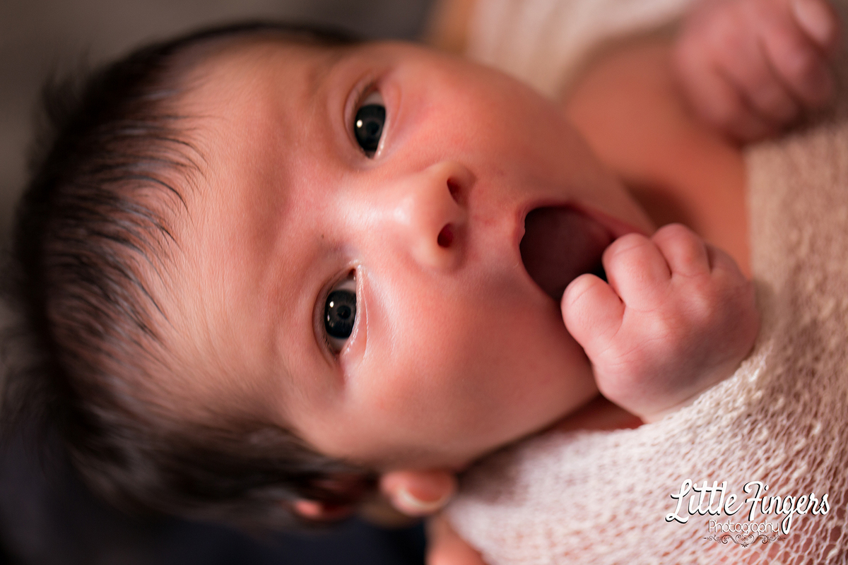 fotografo-infantil-teresopolis-newborn-teresopolis-smash-the-cake-ensaio-gestante-teresopolis-fotografia-de-familia-teresopolis-melhor-fotografo-infantil-teresopolis