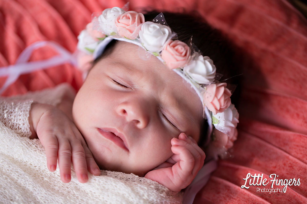 fotografo-infantil-teresopolis-newborn-teresopolis-smash-the-cake-ensaio-gestante-teresopolis-fotografia-de-familia-teresopolis-melhor-fotografo-infantil-teresopolis