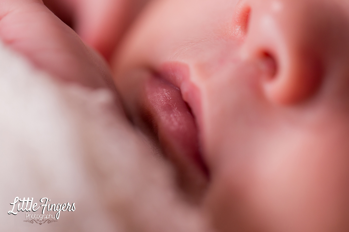 fotografo-infantil-teresopolis-newborn-teresopolis-smash-the-cake-ensaio-gestante-teresopolis-fotografia-de-familia-teresopolis-melhor-fotografo-infantil-teresopolis