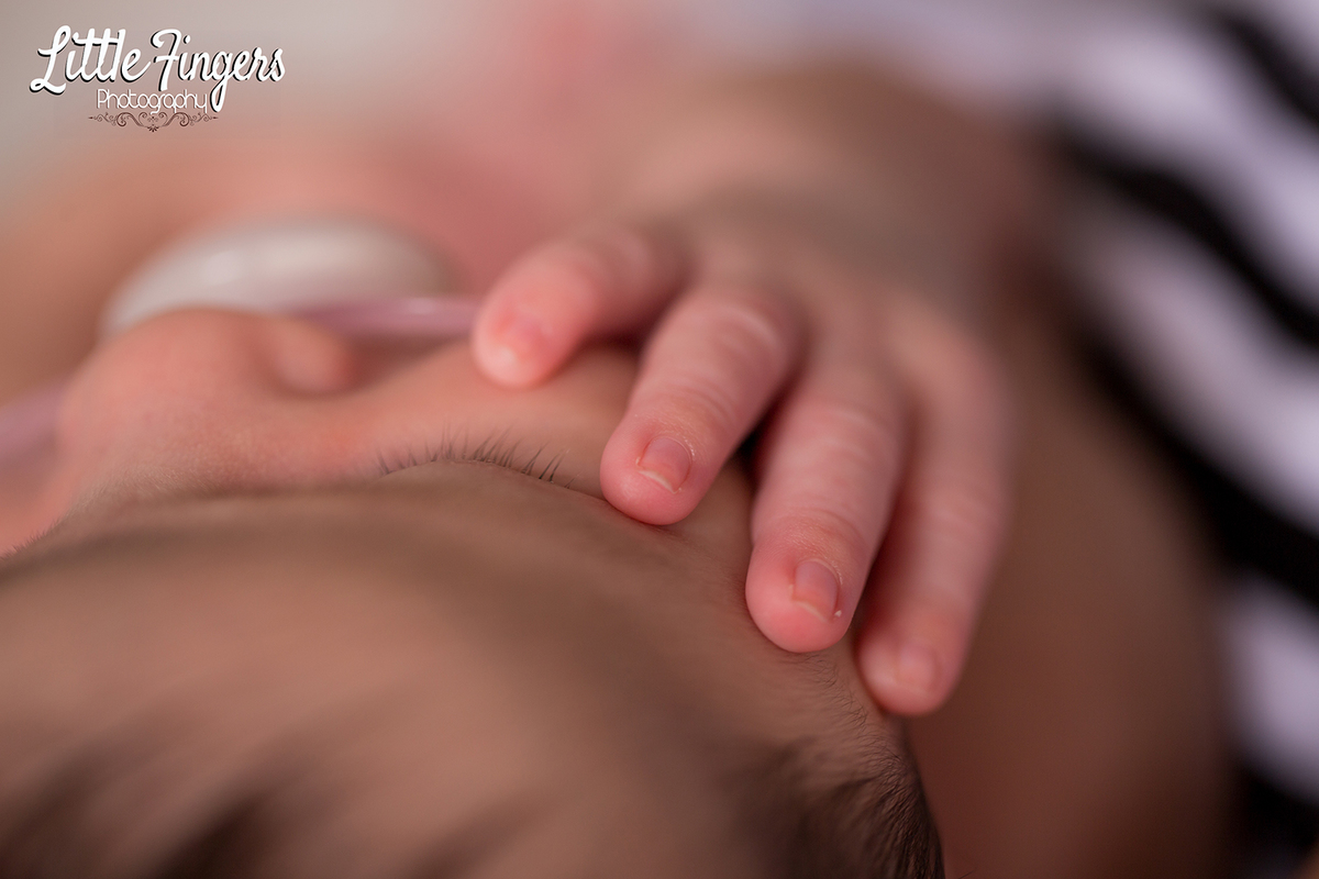 fotografo-infantil-teresopolis-newborn-teresopolis-smash-the-cake-ensaio-gestante-teresopolis-fotografia-de-familia-teresopolis-melhor-fotografo-infantil-teresopolis