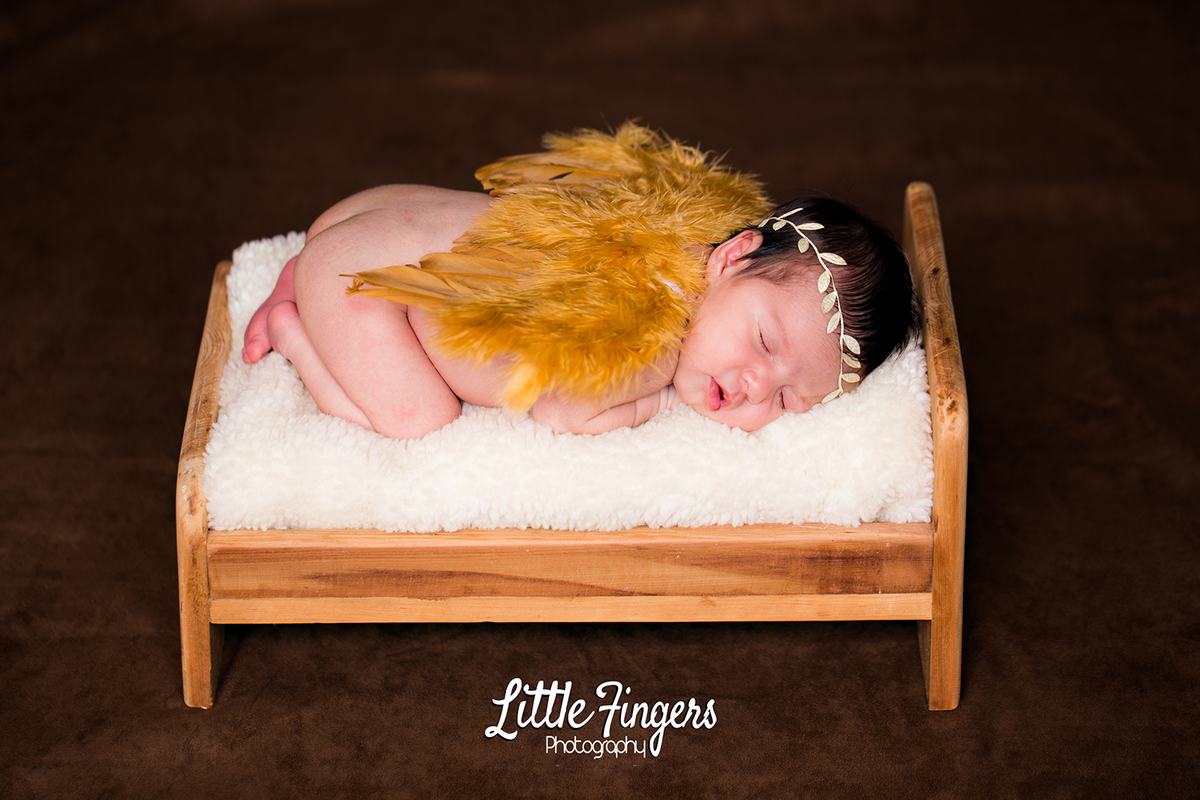 fotografo-infantil-teresopolis-newborn-teresopolis-smash-the-cake-ensaio-gestante-teresopolis-fotografia-de-familia-teresopolis-melhor-fotografo-infantil-teresopolis