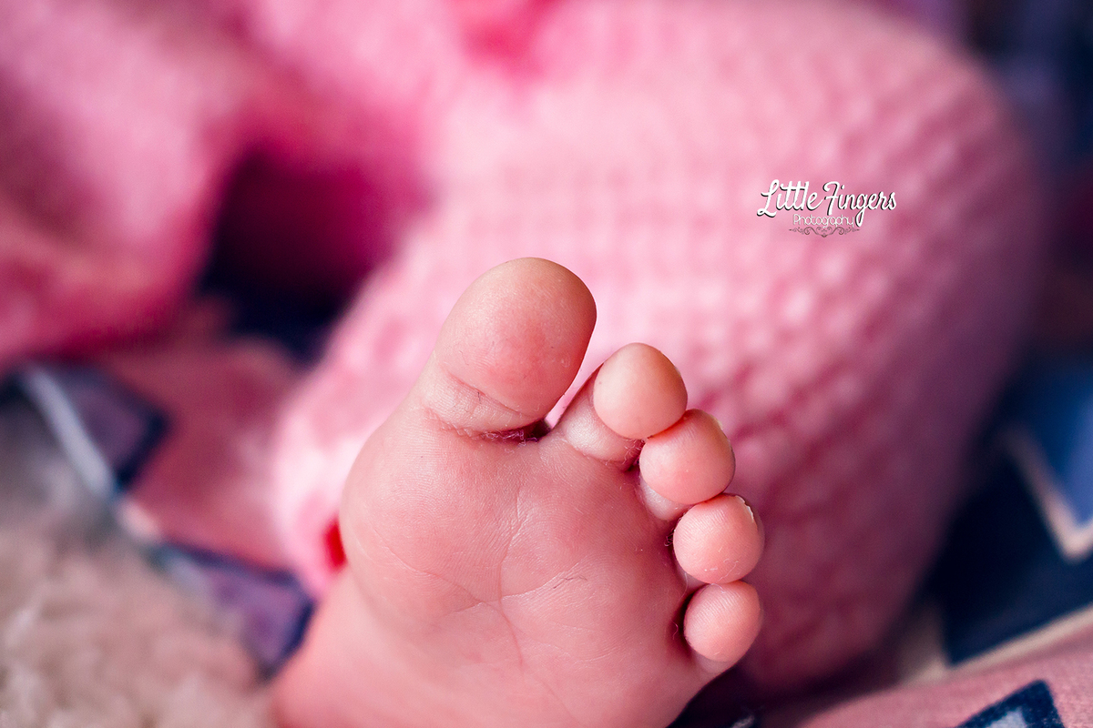fotografo-infantil-teresopolis-newborn-teresopolis-smash-the-cake-ensaio-gestante-teresopolis-fotografia-de-familia-teresopolis-melhor-fotografo-infantil-teresopolis
