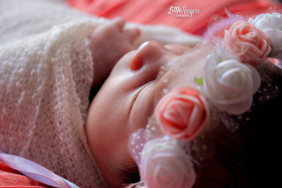 fotografo-infantil-teresopolis-newborn-teresopolis-smash-the-cake-ensaio-gestante-teresopolis-fotografia-de-familia-teresopolis-melhor-fotografo-infantil-teresopolis
