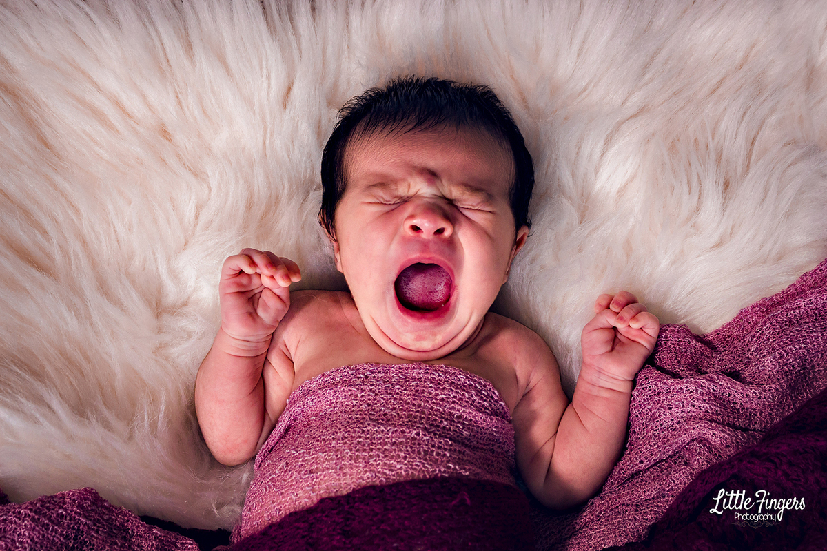 fotografo-infantil-teresopolis-newborn-teresopolis-smash-the-cake-ensaio-gestante-teresopolis-fotografia-de-familia-teresopolis-melhor-fotografo-infantil-teresopolis