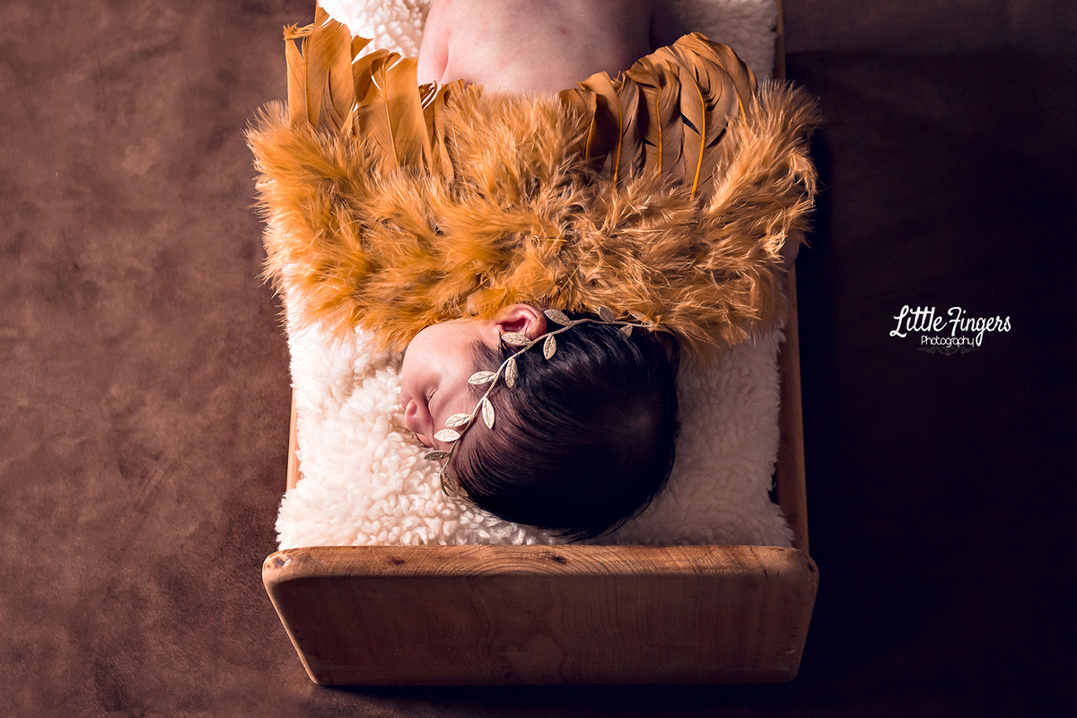 fotografo-infantil-teresopolis-newborn-teresopolis-smash-the-cake-ensaio-gestante-teresopolis-fotografia-de-familia-teresopolis-melhor-fotografo-infantil-teresopolis