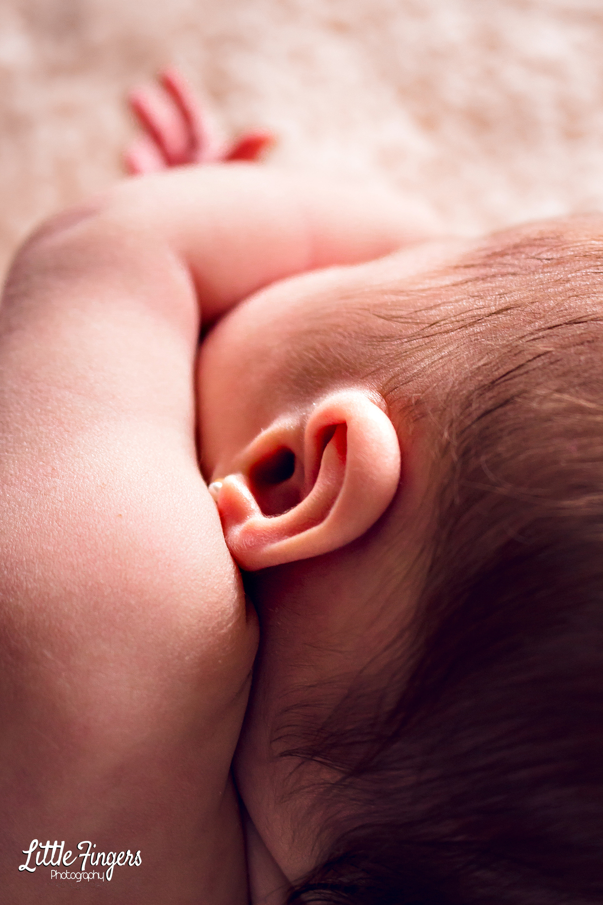 fotografo-infantil-teresopolis-newborn-teresopolis-smash-the-cake-ensaio-gestante-teresopolis-fotografia-de-familia-teresopolis-melhor-fotografo-infantil-teresopolis