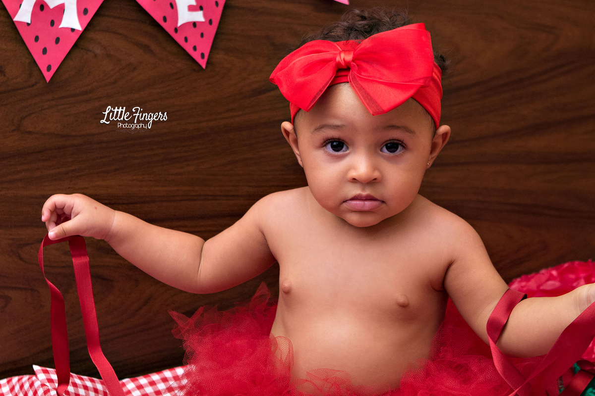 fotografo-infantil-teresopolis-newborn-teresopolis-acompanhamento-teresopolis-smash-the-cake-ensaio-gestante-teresopolis-fotografia-de-familia-teresopolis-melhor-fotografo-infantil-teresopolis
