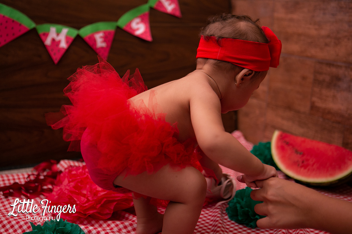 fotografo-infantil-teresopolis-newborn-teresopolis-acompanhamento-teresopolis-smash-the-cake-ensaio-gestante-teresopolis-fotografia-de-familia-teresopolis-melhor-fotografo-infantil-teresopolis