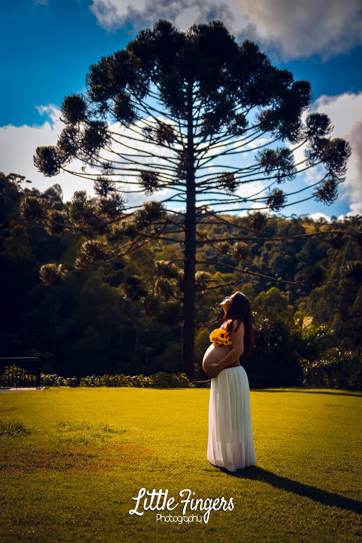 fotografo-infantil-teresopolis-newborn-teresopolis-acompanhamento-teresopolis-smash-the-cake-ensaio-gestante-teresopolis-fotografia-de-familia-teresopolis-melhor-fotografo-infantil-teresopolis