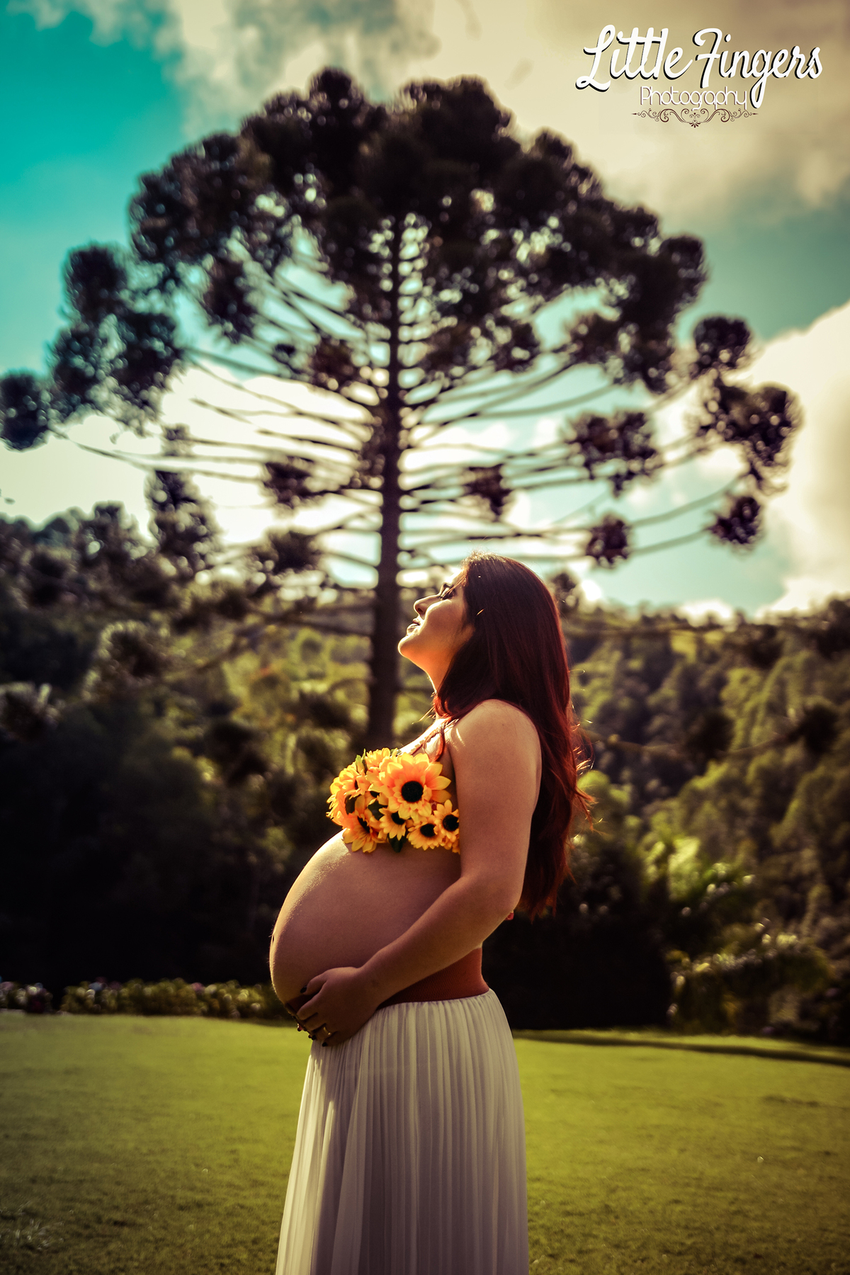 fotografo-infantil-teresopolis-newborn-teresopolis-acompanhamento-teresopolis-smash-the-cake-ensaio-gestante-teresopolis-fotografia-de-familia-teresopolis-melhor-fotografo-infantil-teresopolis