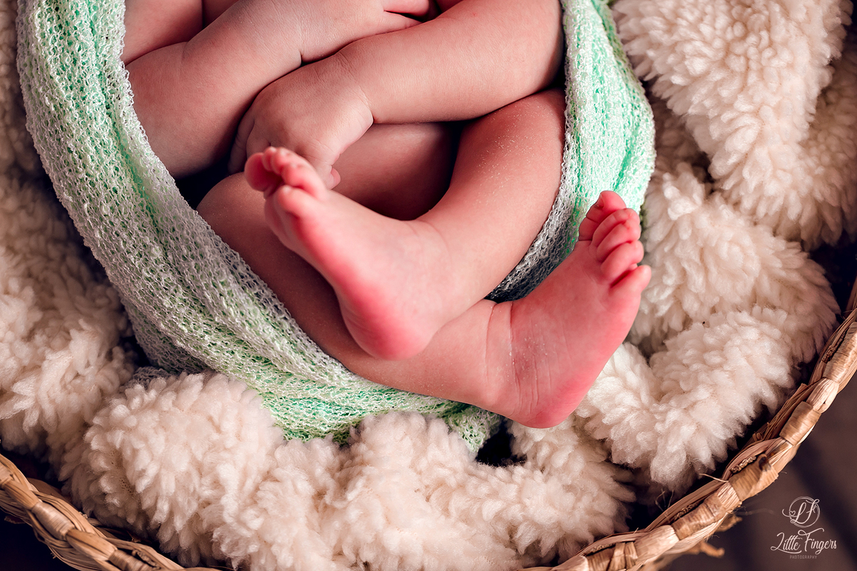 fotografo-infantil-teresopolis-newborn-teresopolis-acompanhamento-teresopolis-smash-the-cake-ensaio-gestante-teresopolis-fotografia-de-familia-teresopolis-melhor-fotografo-infantil-teresopolis