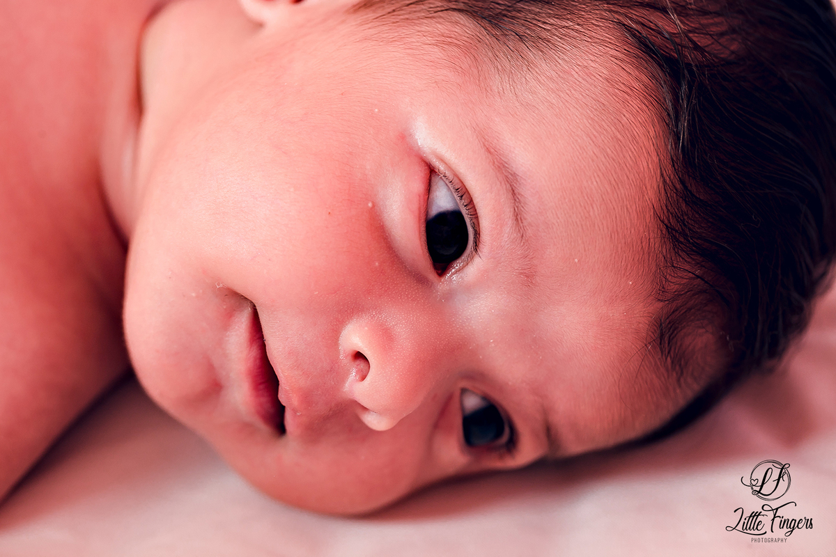 fotografo-infantil-teresopolis-newborn-teresopolis-acompanhamento-teresopolis-smash-the-cake-ensaio-gestante-teresopolis-fotografia-de-familia-teresopolis-melhor-fotografo-infantil-teresopolis