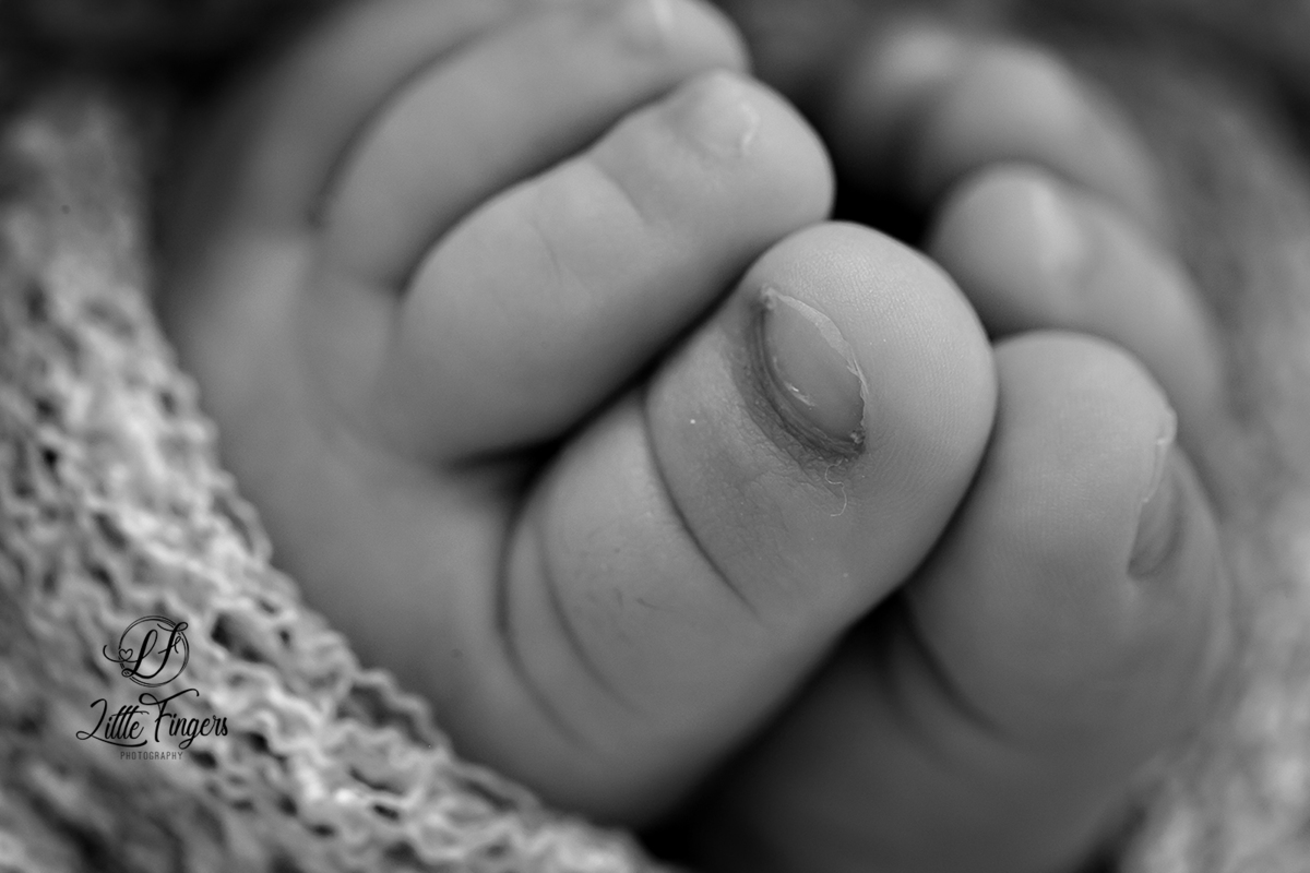 fotografo-infantil-teresopolis-newborn-teresopolis-acompanhamento-teresopolis-smash-the-cake-ensaio-gestante-teresopolis-fotografia-de-familia-teresopolis-melhor-fotografo-infantil-teresopolis