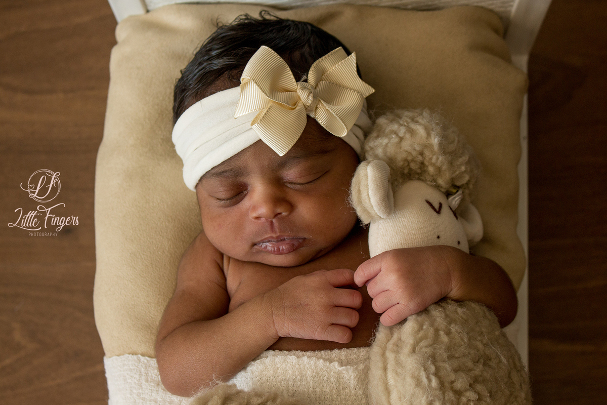 fotografo-infantil-teresopolis-newborn-teresopolis-acompanhamento-teresopolis-smash-the-cake-ensaio-gestante-teresopolis-fotografia-de-familia-teresopolis-melhor-fotografo-infantil-teresopolis
