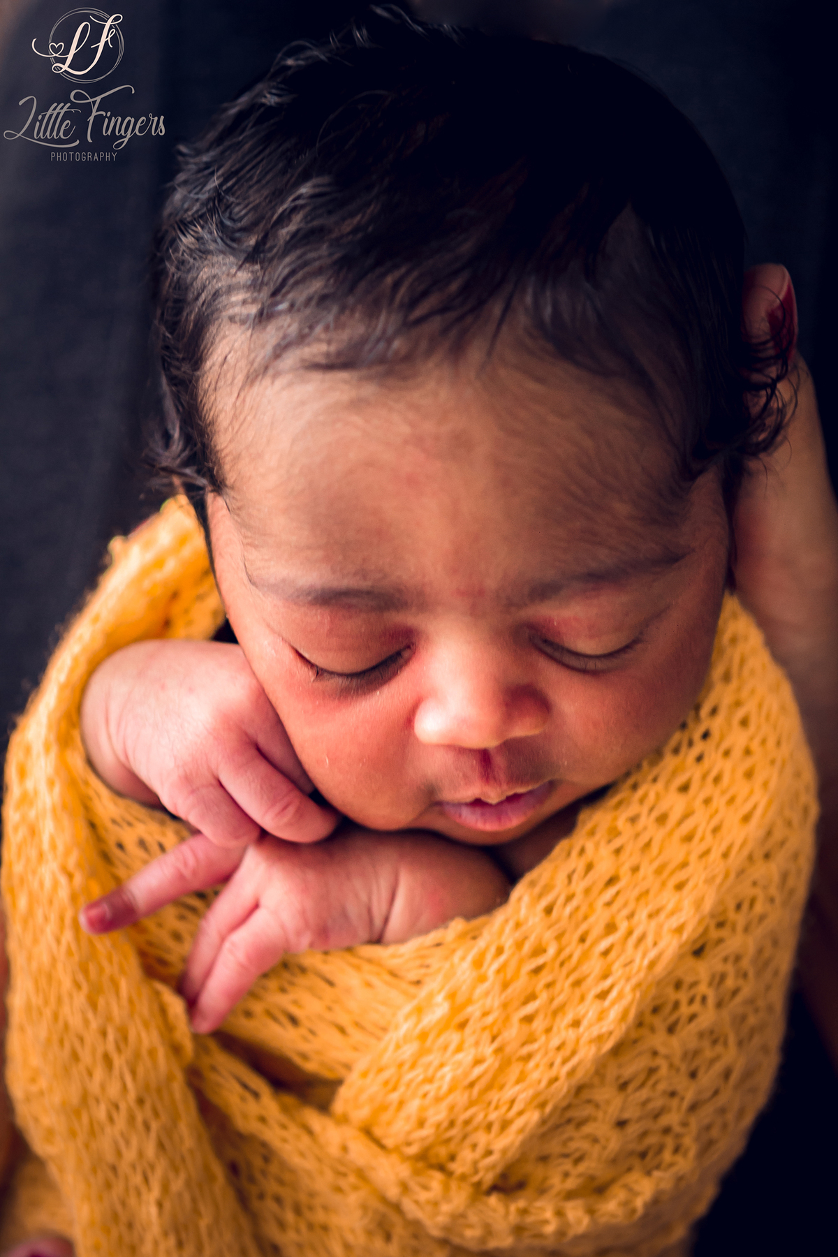 fotografo-infantil-teresopolis-newborn-teresopolis-acompanhamento-teresopolis-smash-the-cake-ensaio-gestante-teresopolis-fotografia-de-familia-teresopolis-melhor-fotografo-infantil-teresopolis