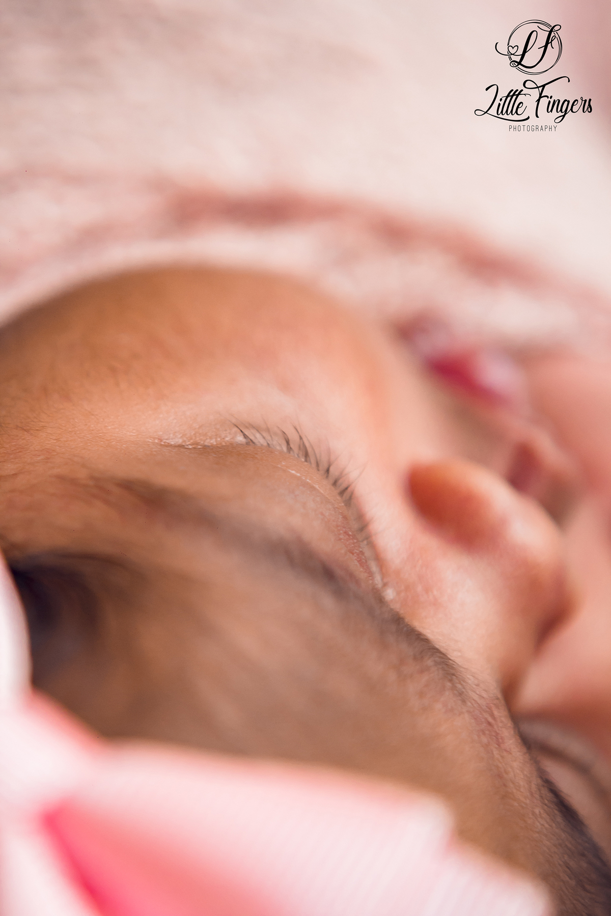 fotografo-infantil-teresopolis-newborn-teresopolis-acompanhamento-teresopolis-smash-the-cake-ensaio-gestante-teresopolis-fotografia-de-familia-teresopolis-melhor-fotografo-infantil-teresopolis