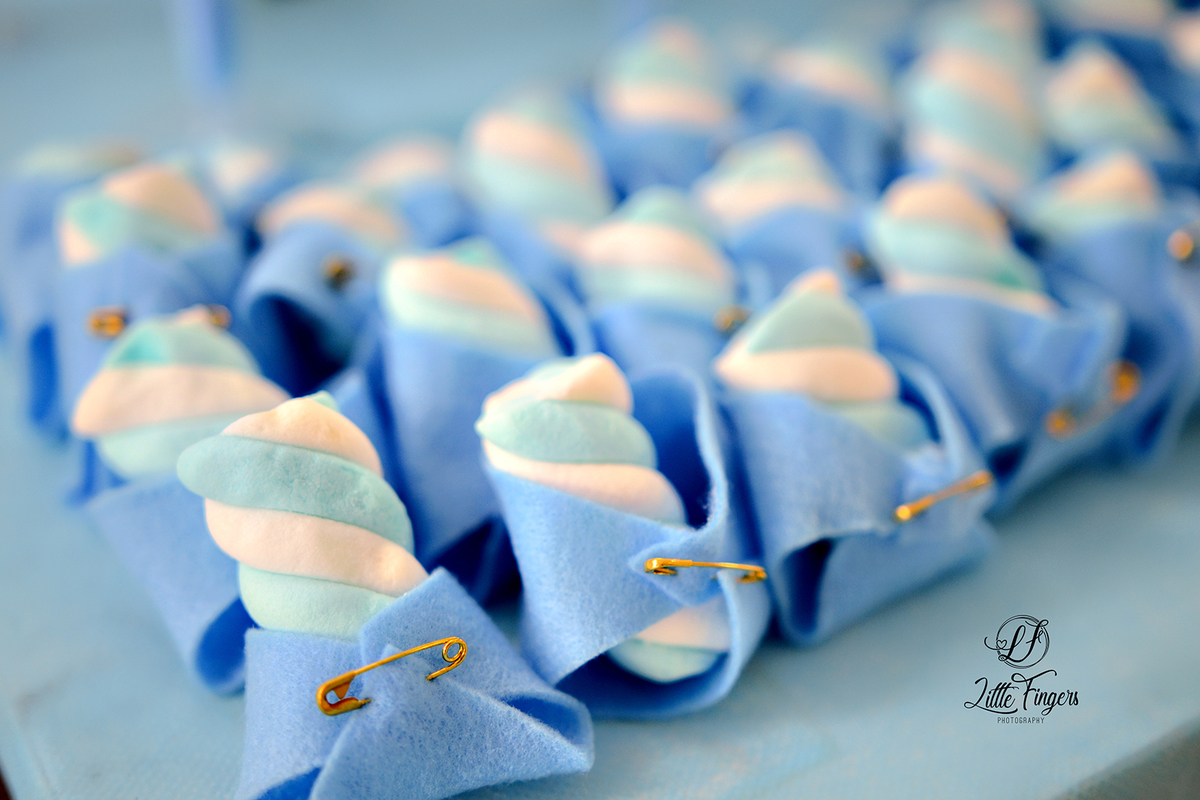 fotografo-infantil-teresopolis-newborn-teresopolis-acompanhamento-teresopolis-smash-the-cake-ensaio-gestante-teresopolis-fotografia-de-familia-teresopolis-melhor-fotografo-infantil-teresopolis