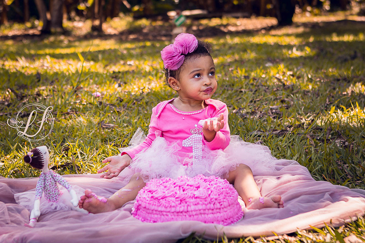 fotografo-infantil-teresopolis-newborn-teresopolis-acompanhamento-teresopolis-smash-the-cake-ensaio-gestante-teresopolis-fotografia-de-familia-teresopolis-melhor-fotografo-infantil-teresopolis