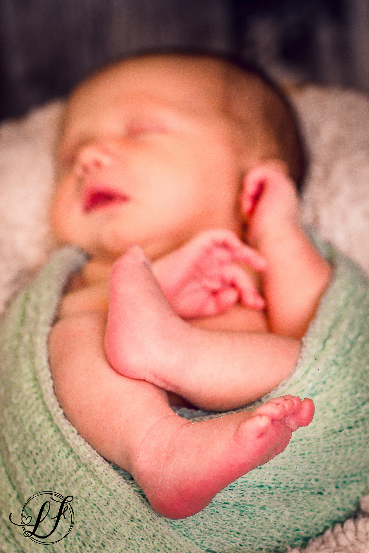 fotografo-infantil-teresopolis-newborn-teresopolis-acompanhamento-teresopolis-smash-the-cake-ensaio-gestante-teresopolis-fotografia-de-familia-teresopolis-melhor-fotografo-infantil-teresopolis