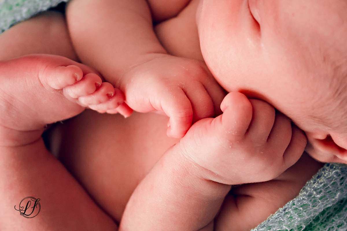 fotografo-infantil-teresopolis-newborn-teresopolis-acompanhamento-teresopolis-smash-the-cake-ensaio-gestante-teresopolis-fotografia-de-familia-teresopolis-melhor-fotografo-infantil-teresopolis