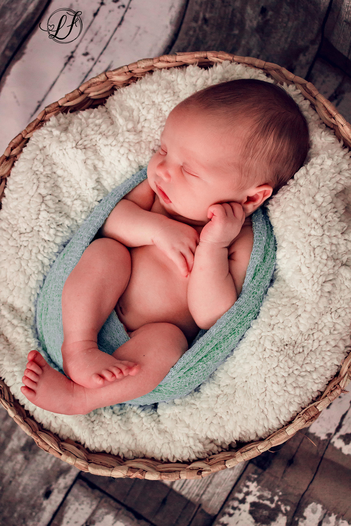 fotografo-infantil-teresopolis-newborn-teresopolis-acompanhamento-teresopolis-smash-the-cake-ensaio-gestante-teresopolis-fotografia-de-familia-teresopolis-melhor-fotografo-infantil-teresopolis