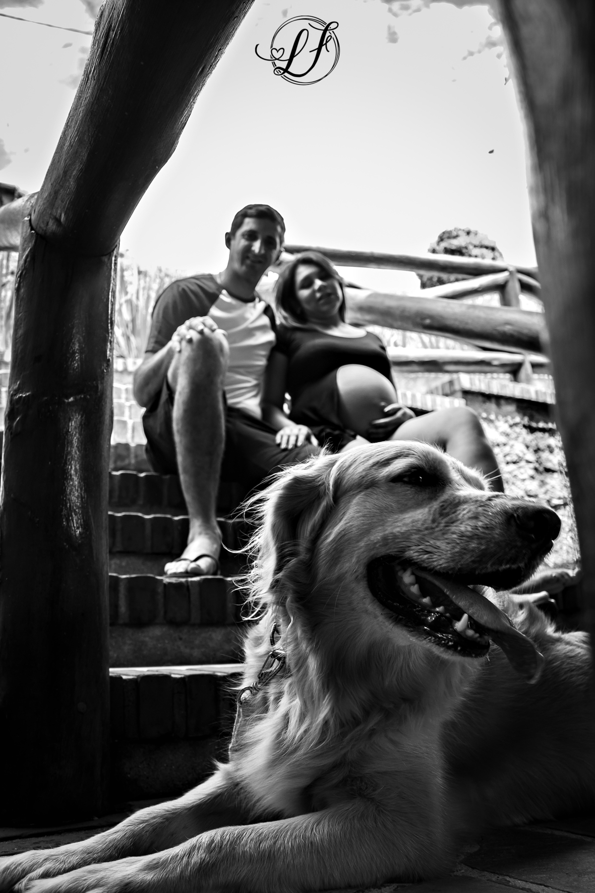 fotografo-infantil-teresopolis-newborn-teresopolis-acompanhamento-teresopolis-smash-the-cake-ensaio-gestante-teresopolis-fotografia-de-familia-teresopolis-melhor-fotografo-infantil-teresopolis