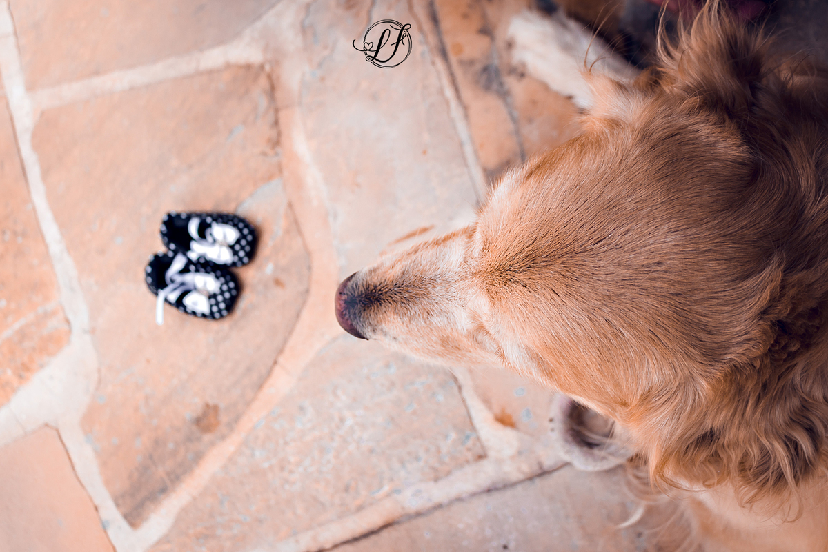 fotografo-infantil-teresopolis-newborn-teresopolis-acompanhamento-teresopolis-smash-the-cake-ensaio-gestante-teresopolis-fotografia-de-familia-teresopolis-melhor-fotografo-infantil-teresopolis