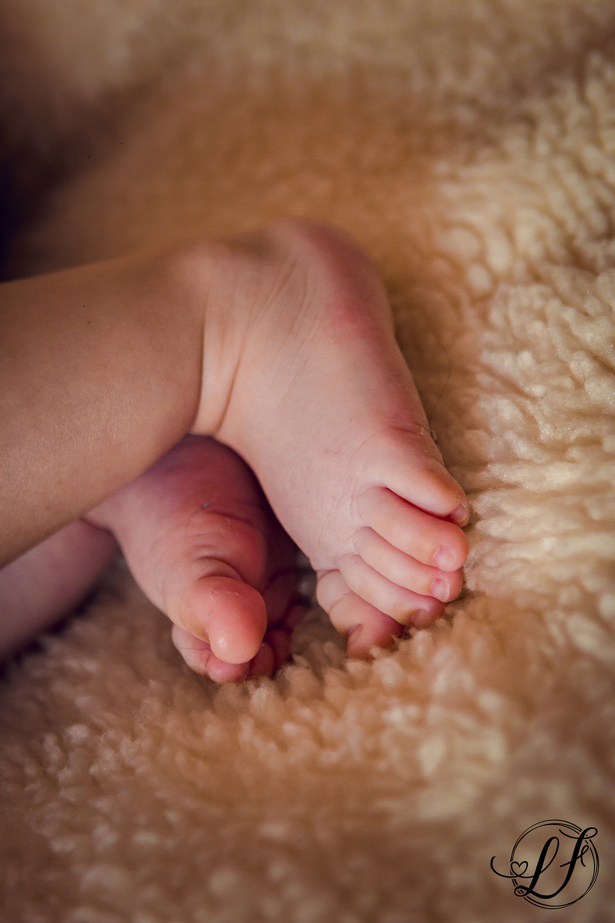 fotografo-infantil-teresopolis-newborn-teresopolis-acompanhamento-teresopolis-smash-the-cake-ensaio-gestante-teresopolis-fotografia-de-familia-teresopolis-melhor-fotografo-infantil-teresopolis