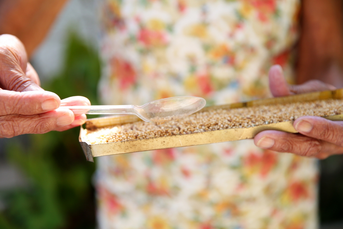 Onde fazer book fotográfico de mulher de 100 anos? Ivna sá fotografa mulheres de 100 anos em belo horizonte. Mulher de 100 anos faz sessão fotográfica em estúdio especializado em fotografia de mulheres, 
