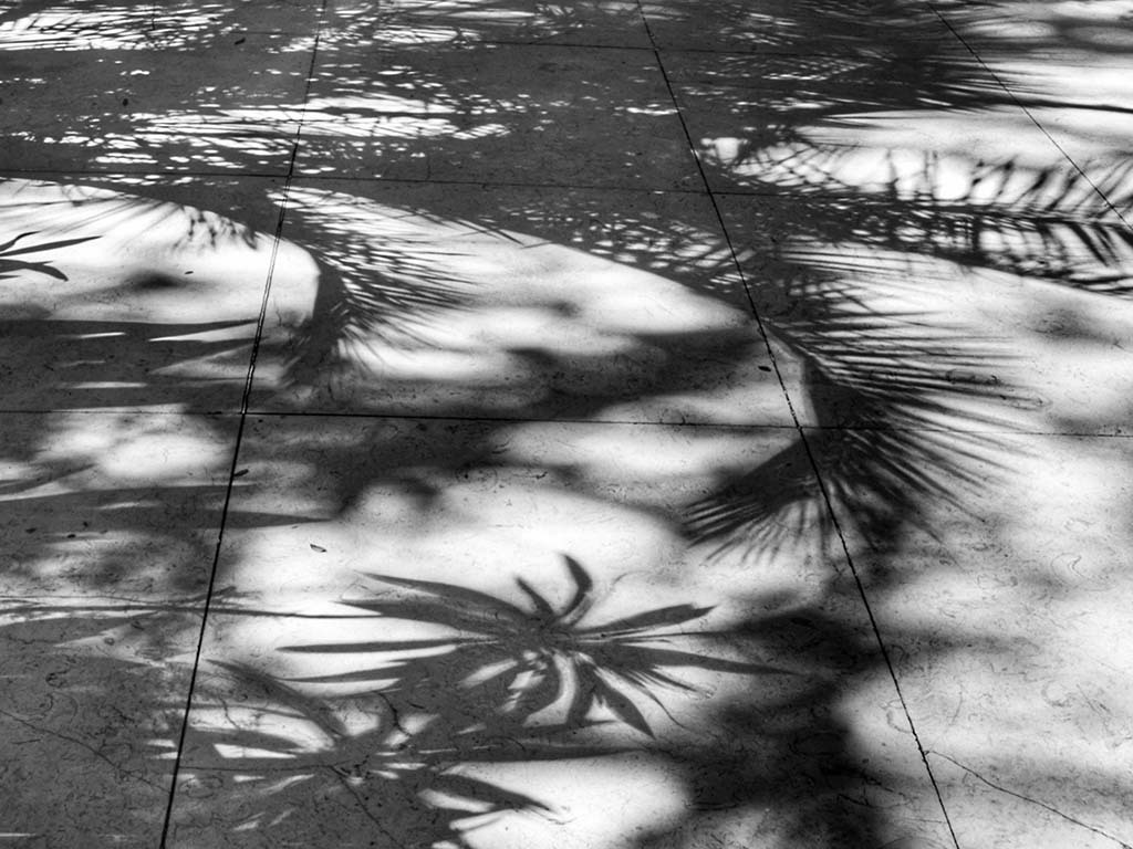 Exposição Coletiva 