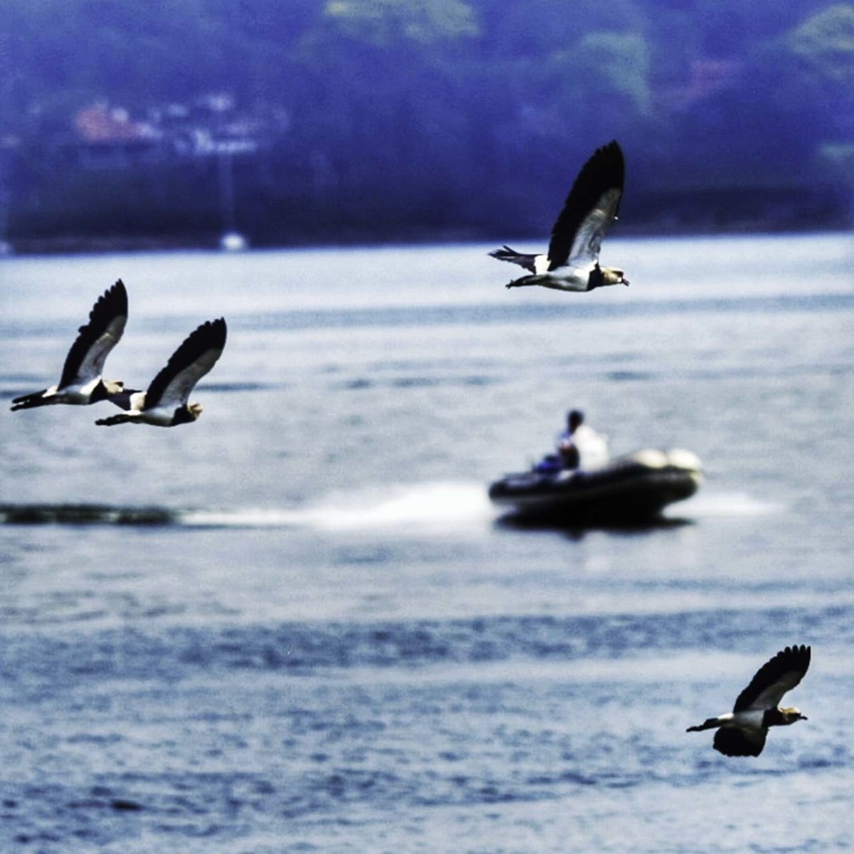 Exposição Coletiva 