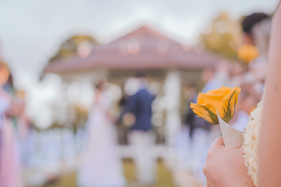 Casamento ao ar livre - rosa amarela - Naty e Vini - por Juliana Madalosso