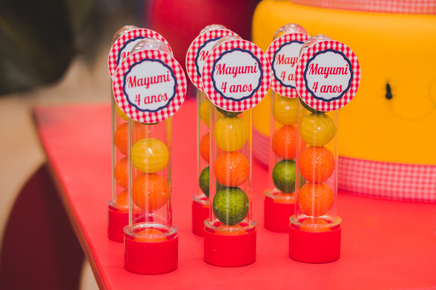 Aniversário Infantil - Curitiba - PR - Juliana Madalosso Fotografia