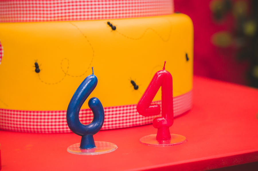 Aniversário Infantil - Curitiba - PR - Juliana Madalosso Fotografia