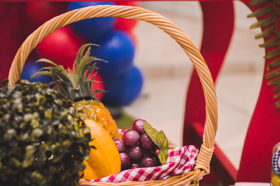 Aniversário Infantil - Curitiba - PR - Juliana Madalosso Fotografia