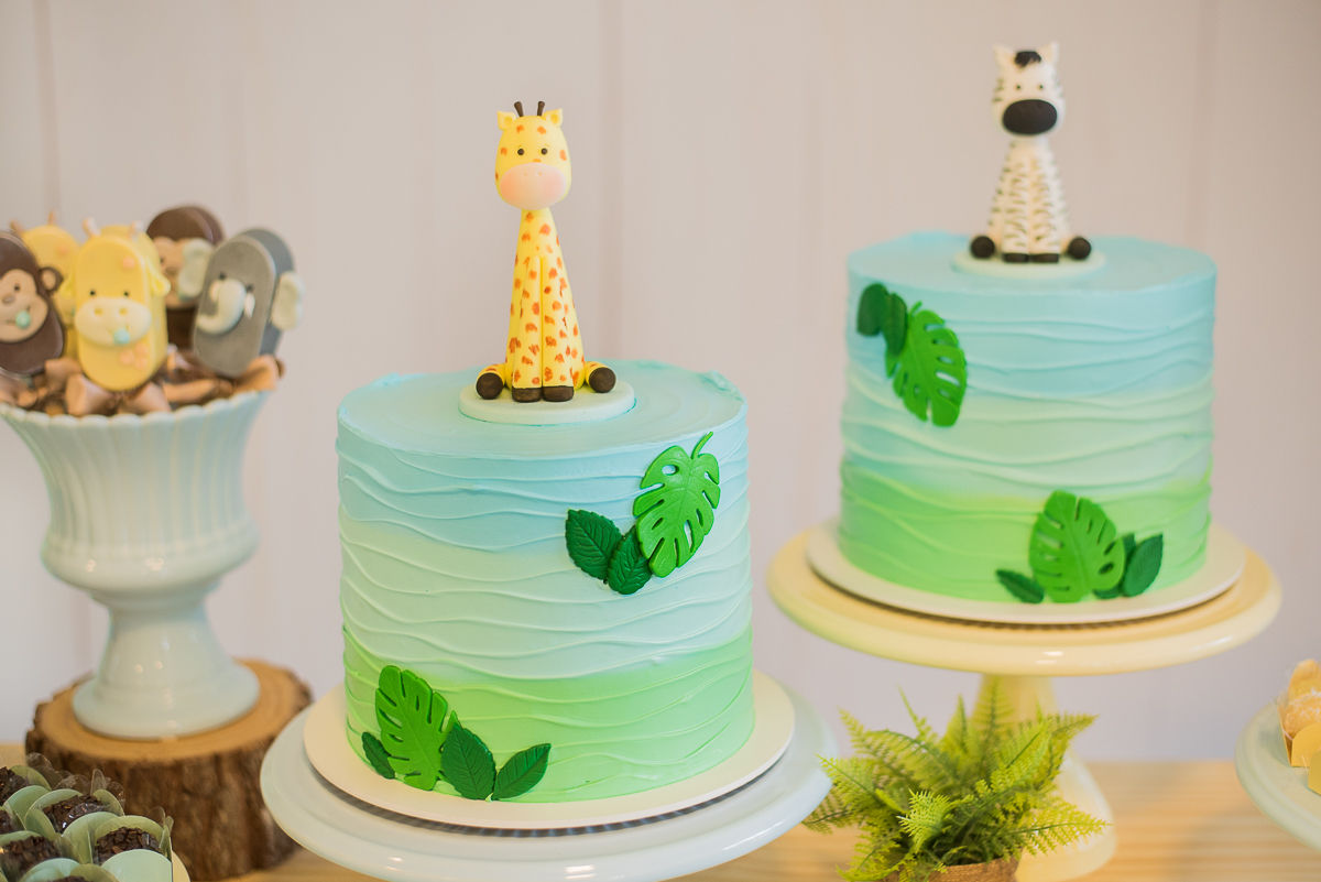 Aniversário Safari do Tom - Juliana Madalosso Fotografia