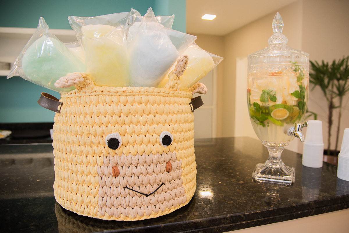 Aniversário Safari do Tom -  Primeiro aninho - Juliana Madalosso Fotografia