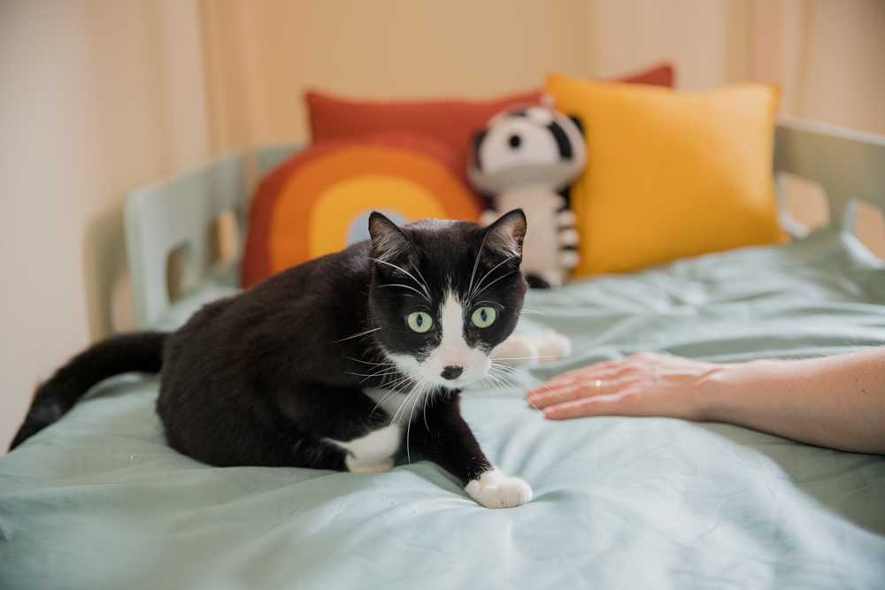 Ensaio gestante em casa