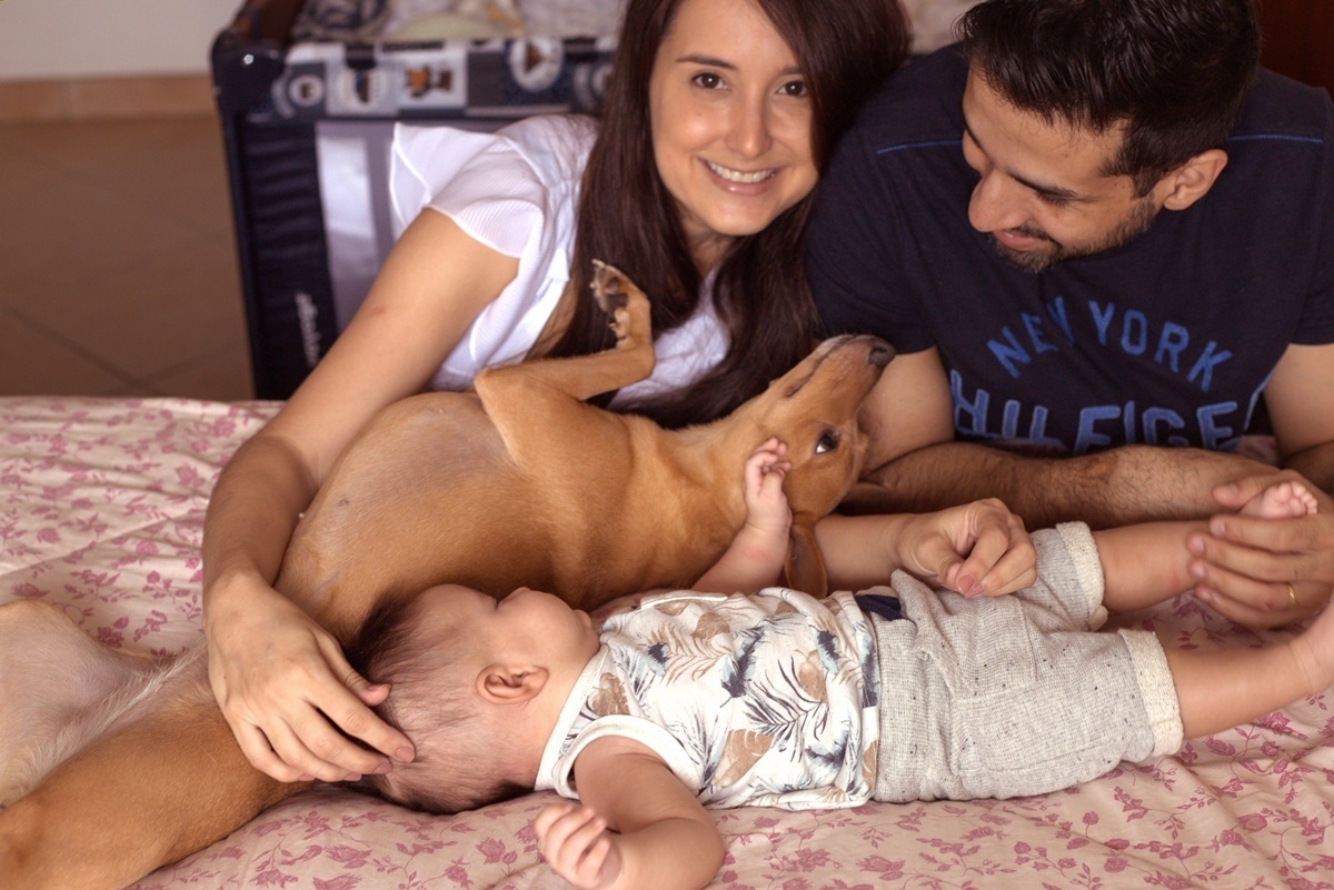Fotografia de família em casa com cachorro - Rio de Janeiro - RJ