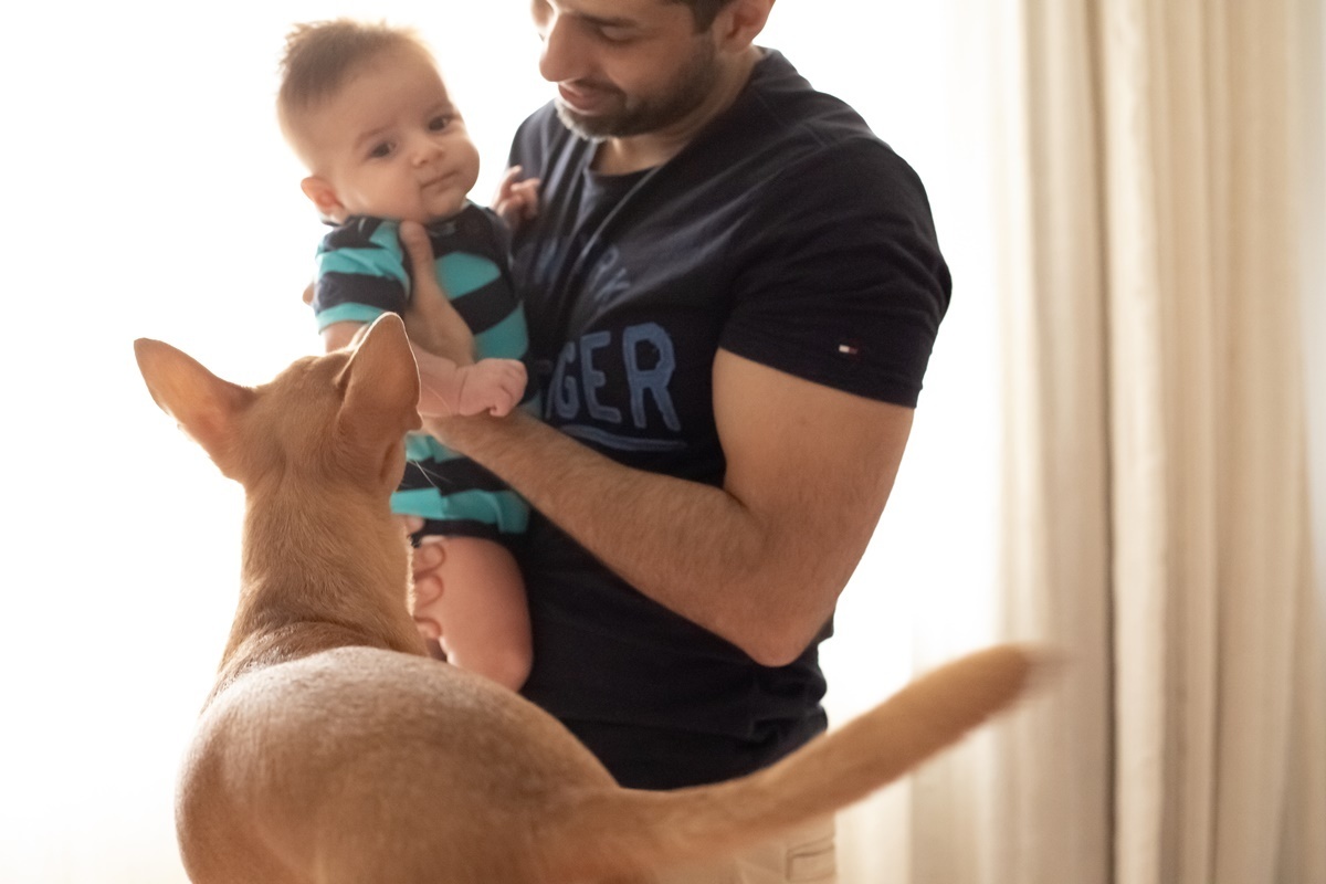 Fotografia do pai com o bebê e cachorrinha olhando  - Rio de Janeiro - RJ