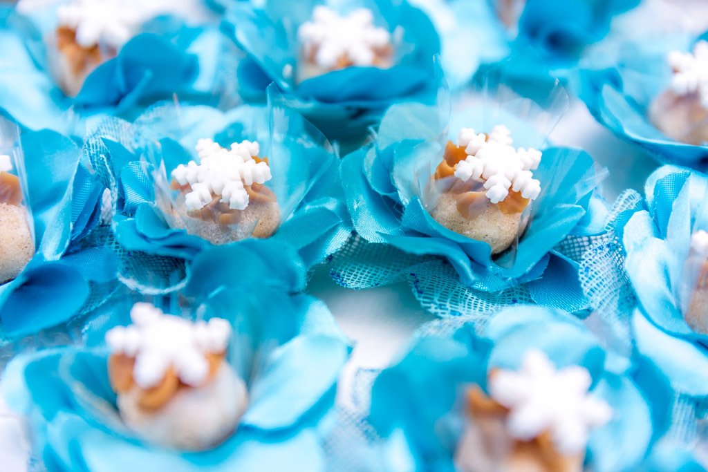 Isabela 3 anos - Tema frozen - Gato Xadrez - Niterói/RJ