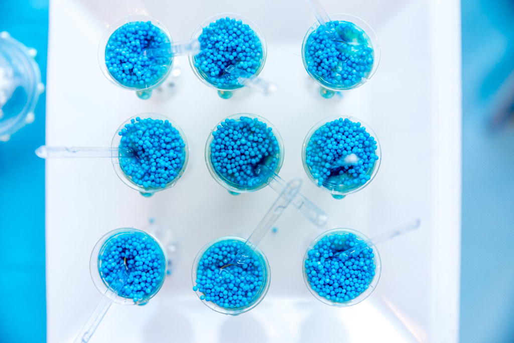 Isabela 3 anos - Tema frozen - Gato Xadrez - Niterói/RJ