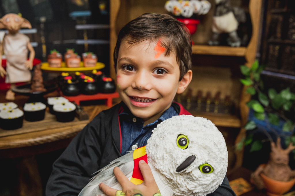 Festa do Davi 5 anos - Tema Harry Potter - Rio de Janeiro 