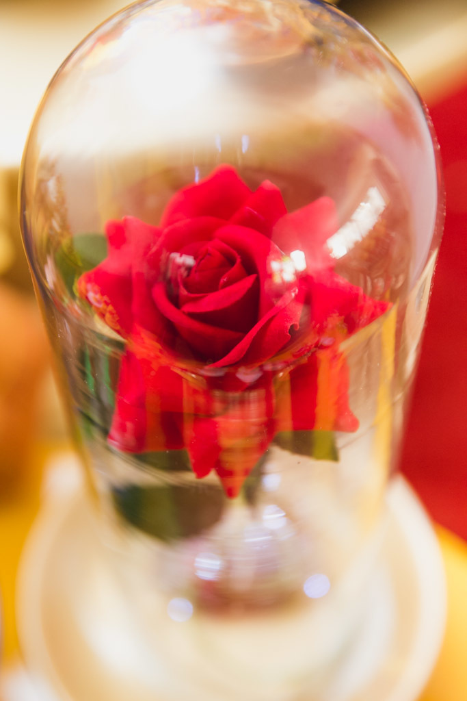 Aniversário da Bia 4 anos - tema bela e a fera - Rio de Janeiro