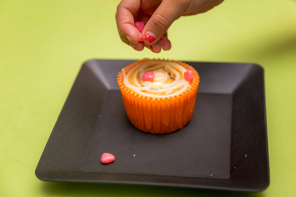 Davi 2 anos - gato xadrez - niterói/rj - festa infantil - animação infantil