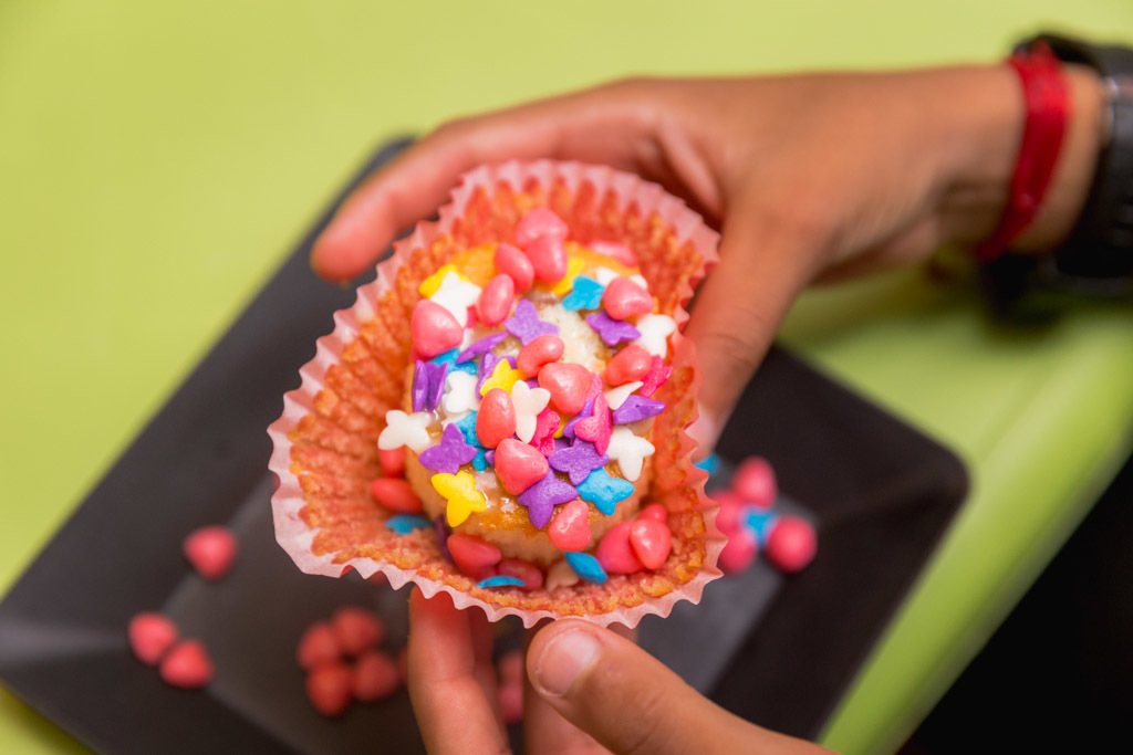 Davi 2 anos - gato xadrez - niterói/rj - festa infantil - animação infantil